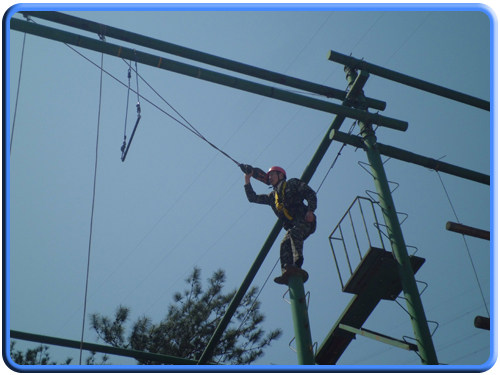 團隊建設(圖3) 團隊建設(圖3)